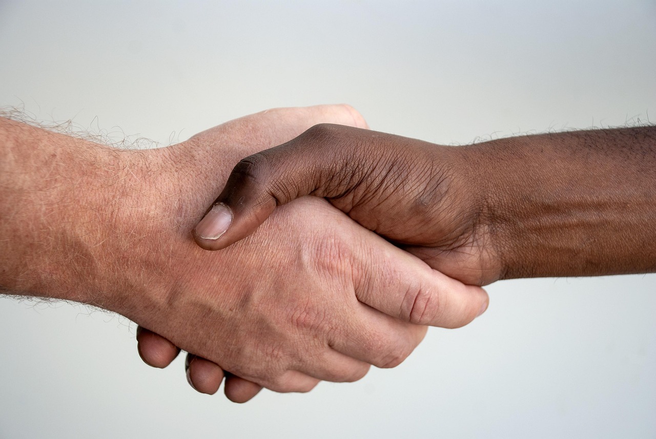 happens, handshake, people, contract, diversity, hand, black, white, handshake, handshake, handshake, handshake, handshake